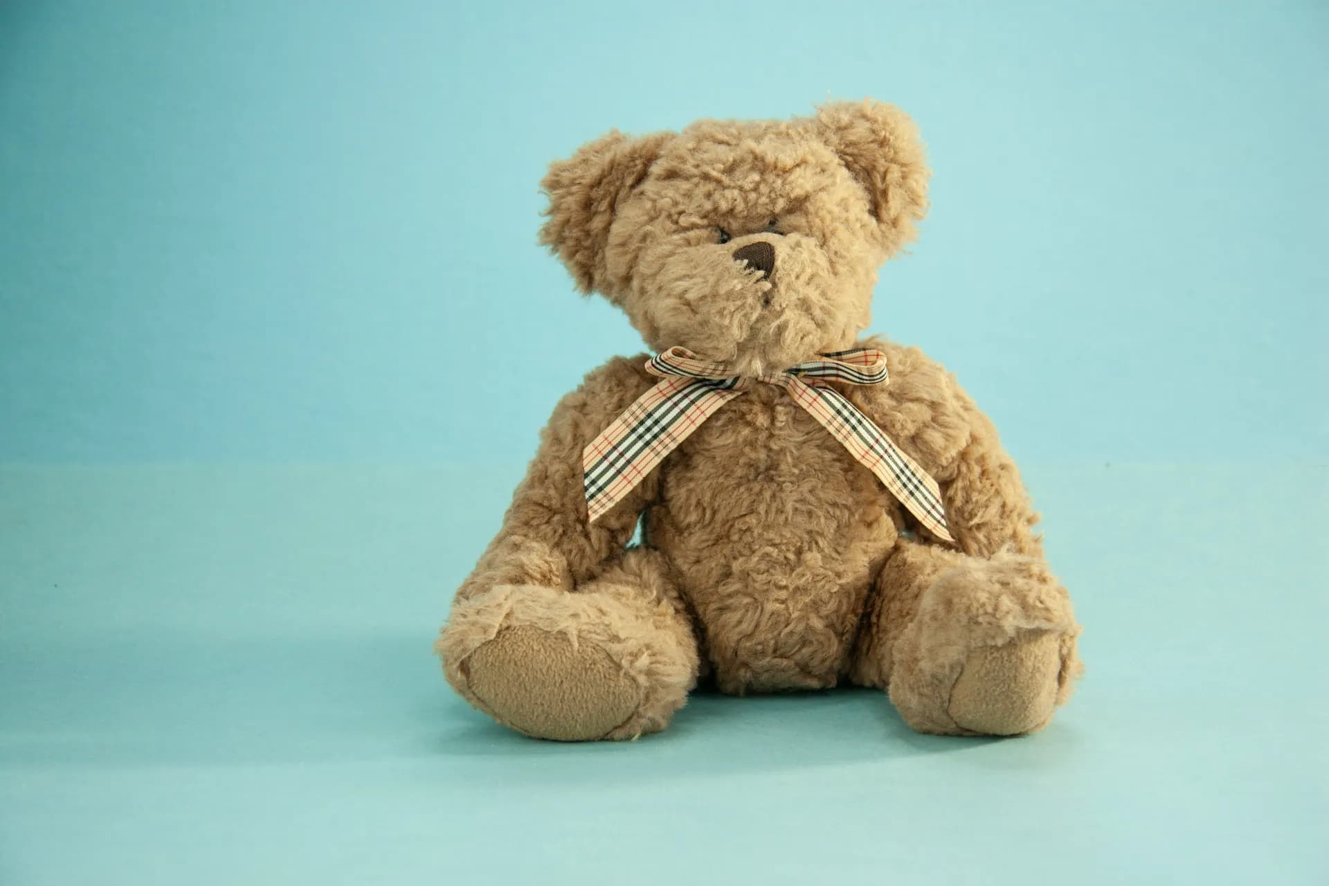 Original product photo of a teddy bear on a plain background